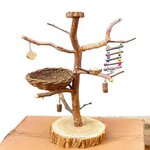 arbre-oiseau-bois-naturel