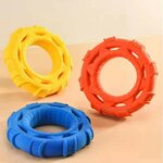 chien-joue-frisbee-eau