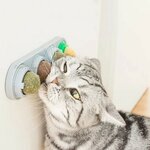 support-mural-balle-chat