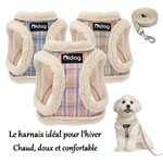 harnais-polaire-chien-chat