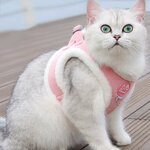 chien-chat-harnais-fourrure