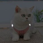 gilet-fourrure-animal