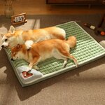 couchage-doux-animal