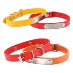 collier-cuir-chien-couleurs