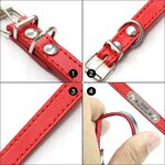 collier-chien-personnalise-cuir