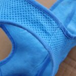 gilet-rafraichissant-chien-ete