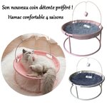 relax-pompon-chat