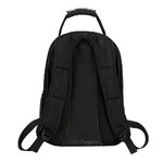 sac-bulle-panoramique-pour-chat