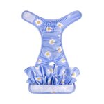 culotte-chienne-en-chaleur