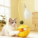 jouet-avec-plume-chat