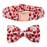 collier-noeud-papillon-coeurs-chien-chat