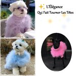 manteau-fashion-chat-chien