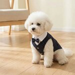 habit-elegant-pour-chien