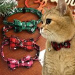 collier-noeud-clochette-chien-chat
