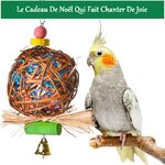 suspension-de-noel-pour-oiseaux