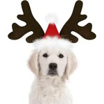 serre-tete-noel-chien-chat