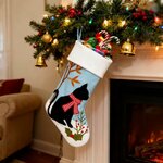 botte-de-noel-chat