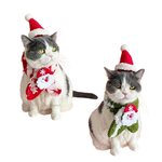 deguisement-de-noel-chien-chat