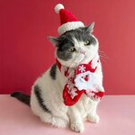 bonnet-et-echarpe-noel-animal
