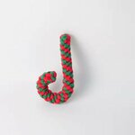 sucre-dorge-festif-chien