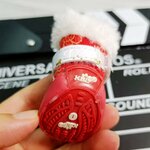 bottillons-festifs-pour-chien
