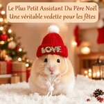 bonnet-de-noel-hamster