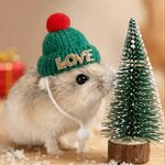 bonnet-noel-pour-rongeur
