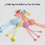 balles-pailletees-chat