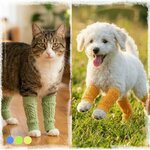 jambieres-en-tricot-douces-chien-chat