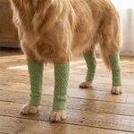 protection-articulations-chien-chat