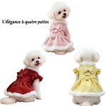 robe-en-tweed-elegante-chien