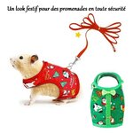 harnais-et-laisse-de-noel-rongeur
