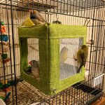 maison-suspendue-pour-oiseaux