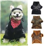 veste-cuir-et-fourrure-chien
