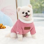 manteau-automne-hiver-chien
