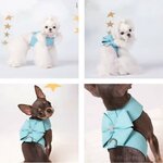 harnais-noeud-papillon-chat-chien