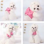 harnais-strass-chien