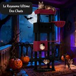 arbre-a-chat-geant-multi-chats
