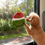 tapis-alimentation-lente-chien-noel