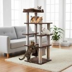 arbre-a-chat-design-chat