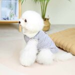 manteau-hiver-pour-chien