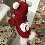 manteau-chaud-chien-hiver