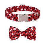 noeud-papillon-festif-noel