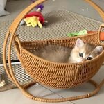 berceau-en-rotin-chat