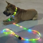 collier-led-securite-chien