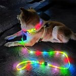 collier-lumineux-led-pour-chien