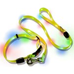 laisse-lumineuse-led-pour-chien