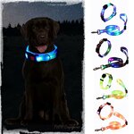 ensemble-collier-et-laisse-lumineux-led-usb
