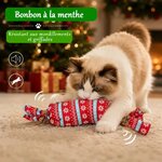 bonbon-festif-pour-chat
