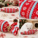 jouet-noel-pour-chat